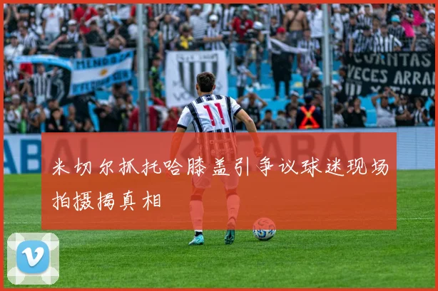 米切尔抓托哈膝盖引争议球迷现场拍摄揭真相